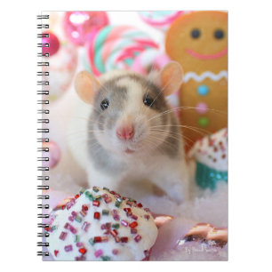 Rat Notebook