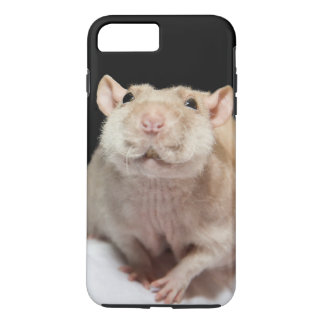 Rat Phone Case