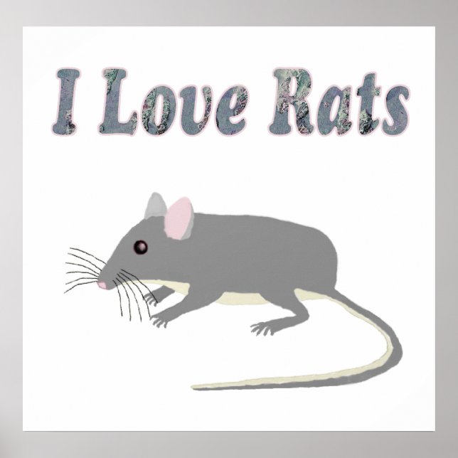 Rat Poster (Front)