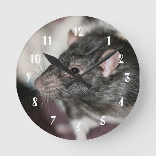 Rat Round Clock (Front)