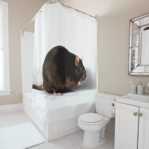 Rat scm shower curtain