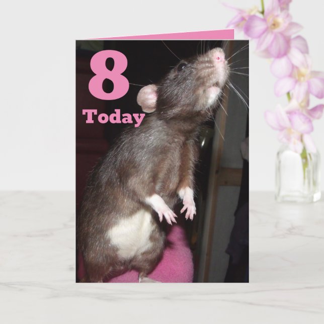 Rat standing customisable 8th Birthday Card (Orchid)