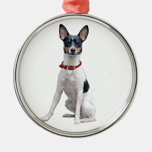 Rat Terrier (A) Metal Tree Decoration (Front)