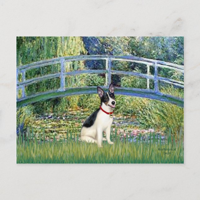 Rat Terrier - Bridge Postcard (Front)