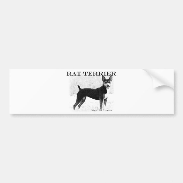 Rat Terrier Bumper Sticker (Front)