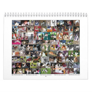 Rat Terrier Calendar