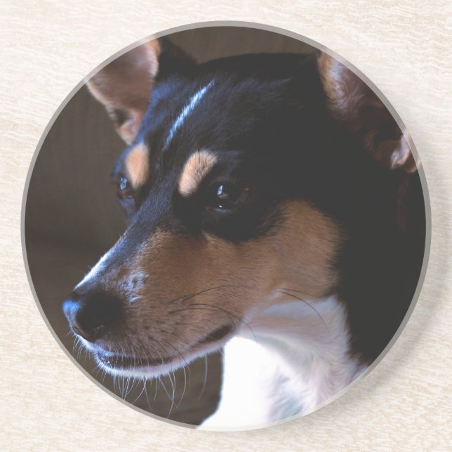 Rat Terrier Coaster (Front)