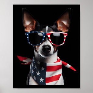 Rat Terrier Dog 4th Of July American Independence Poster