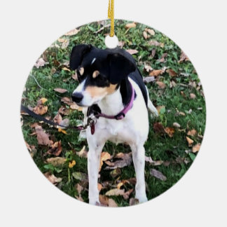 RAT TERRIER DOG CHRISTMAS ORNAMENT