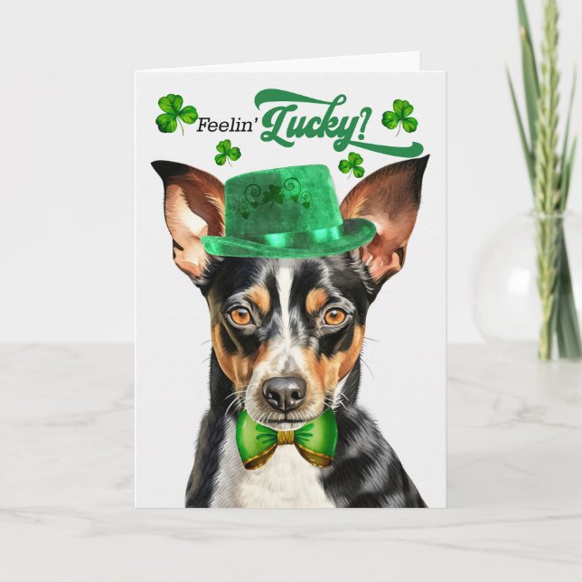 Rat Terrier Dog Feelin' Lucky St Patrick's Day Holiday Card (Front)