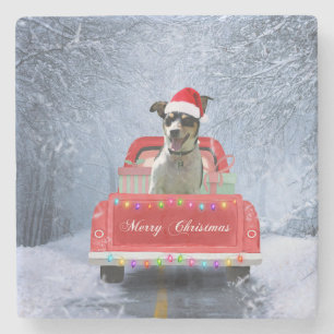 Rat Terrier Dog in Snow sitting in Christmas Truck Stone Coaster