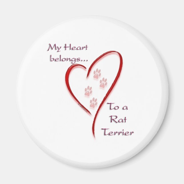 Rat Terrier Heart Belongs Magnet (Front)