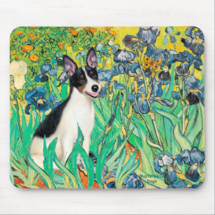 Rat Terrier - Irises Mouse Pad
