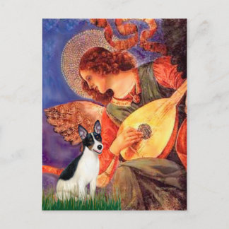 Rat Terrier - Mandolin Angel Postcard