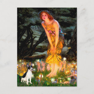 Rat Terrier - MidEve Postcard