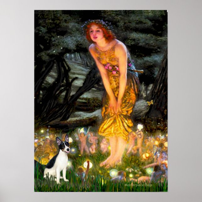 Rat Terrier - MidEve Poster (Front)
