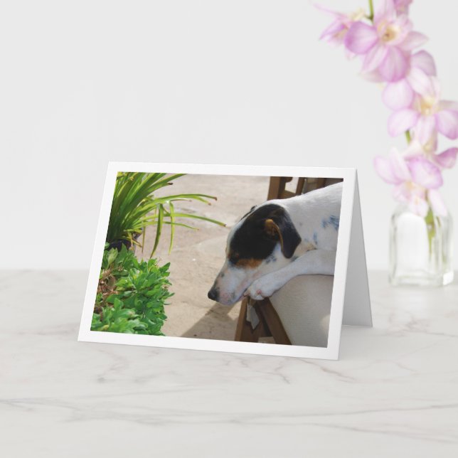 Rat Terrier Sleeping Portrait Card (Orchid)