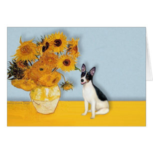 Rat Terrier - Sunflowers