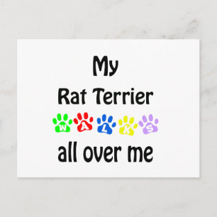 Rat Terrier Walks Design Postcard