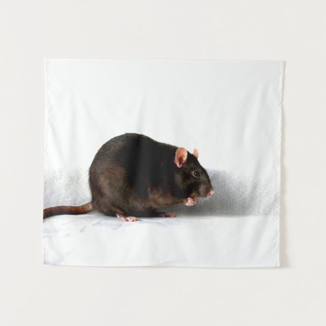 Rat wtcna tapestry (Front (Horizontal))