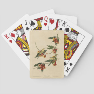 Rathbone (Yellow) Warbler Audubon Birds of America Playing Cards
