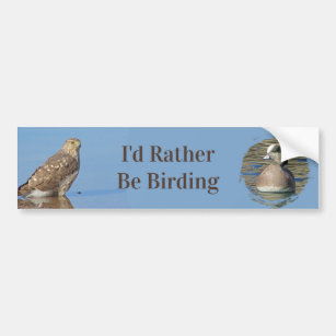 Rather Be Birding Hobby Wild Raptor Bird Hawk Bumper Sticker