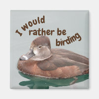 Rather Be Birding Ring-necked Duck Photo Bird