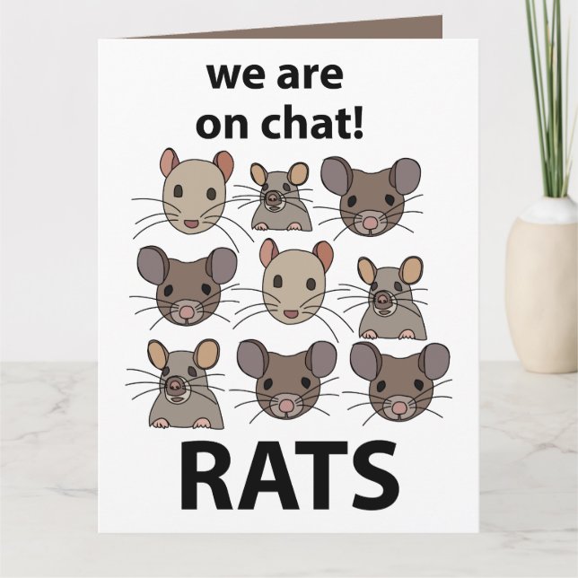 Rats Animal We Are On Chat Funny Rats Card (Front)