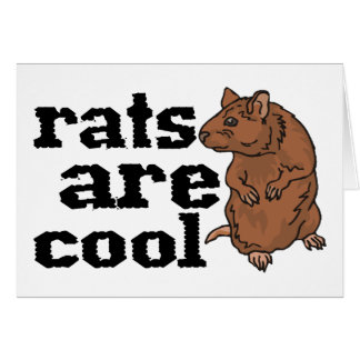 Rats Are Cool