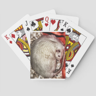 Rats off to you playing cards