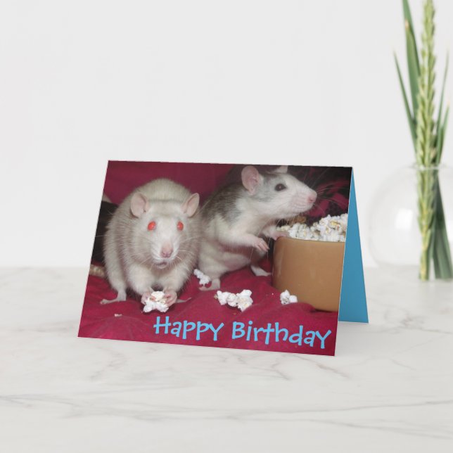 rats partying birthday card (Front)