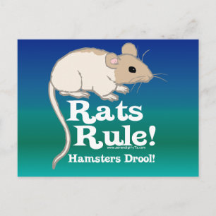 Rats Rule! Postcard