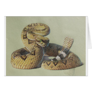 Rattlesnake
