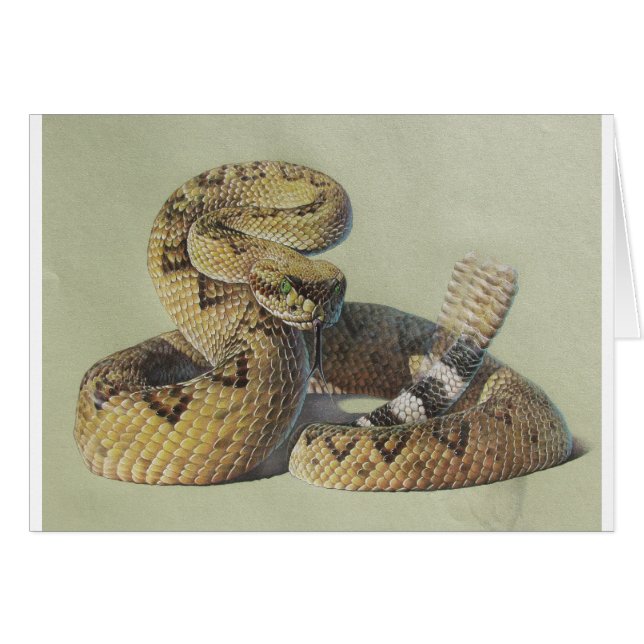 Rattlesnake (Front Horizontal)