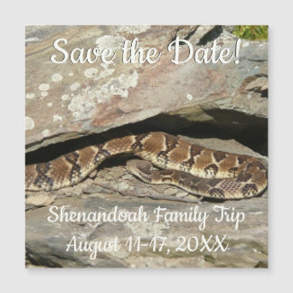 Rattlesnake at Shenandoah National Park