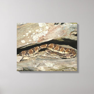 Rattlesnake at Shenandoah National Park Canvas Print