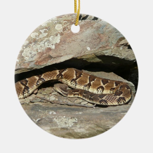 Rattlesnake at Shenandoah National Park Ceramic Tree Decoration (Front)