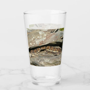 Rattlesnake at Shenandoah National Park Glass