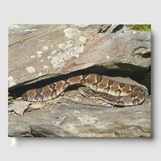 Rattlesnake at Shenandoah National Park Guest Book (Front)