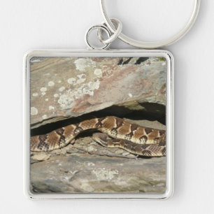 Rattlesnake at Shenandoah National Park Key Ring