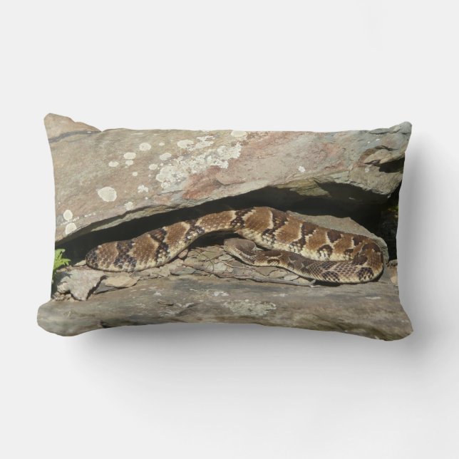Rattlesnake at Shenandoah National Park Lumbar Cushion (Front)