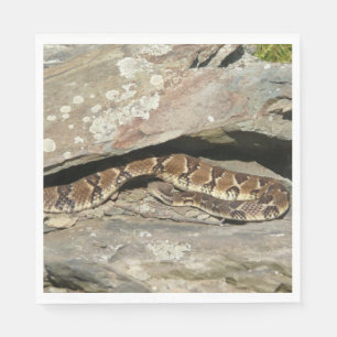 Rattlesnake at Shenandoah National Park Napkin