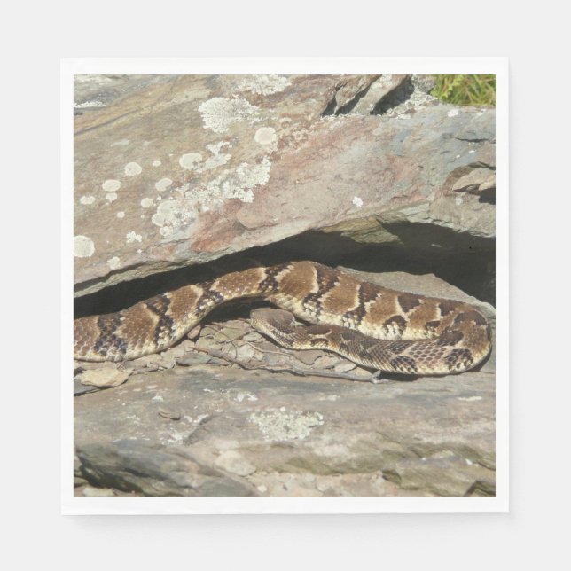 Rattlesnake at Shenandoah National Park Napkin (Front)