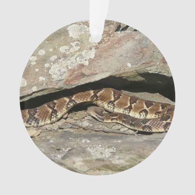 Rattlesnake at Shenandoah National Park Ornament (Front)