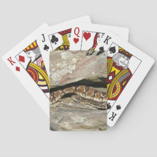 Rattlesnake at Shenandoah National Park Playing Cards