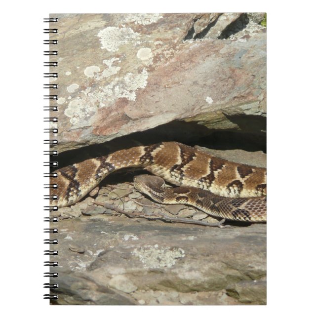 Rattlesnake at Shenandoah National Park Spiral Notebook (Front)