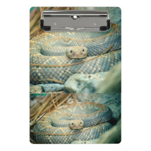 Rattlesnake Clipboard