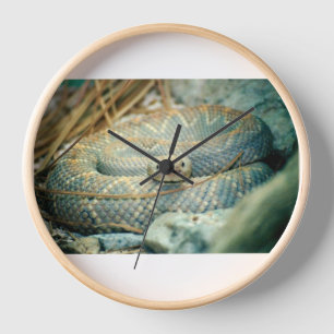 Rattlesnake Clock