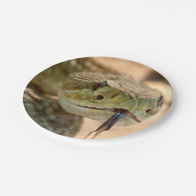 Rattlesnake Closeup Photo Paper Plate (Angled)