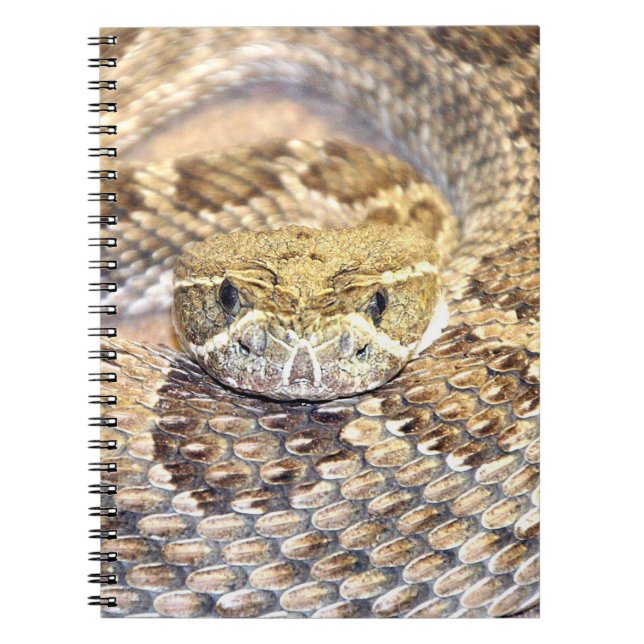 Rattlesnake face spiral notebook (Front)